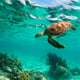 5 Star All-Inclusive  Mexico Holiday
