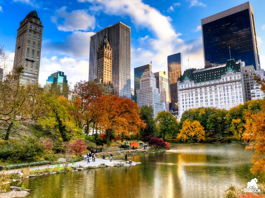 5 Nights in New York #3