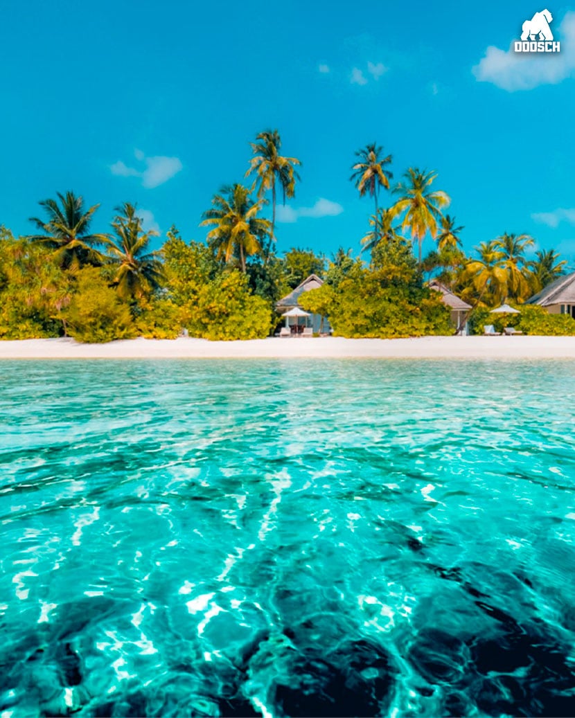 Western Caribbean & Bimini Beach Club Cruise